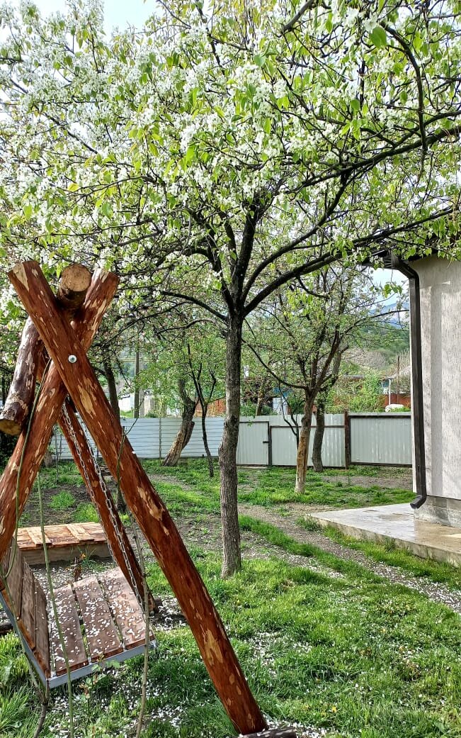 Фото Семейный домик