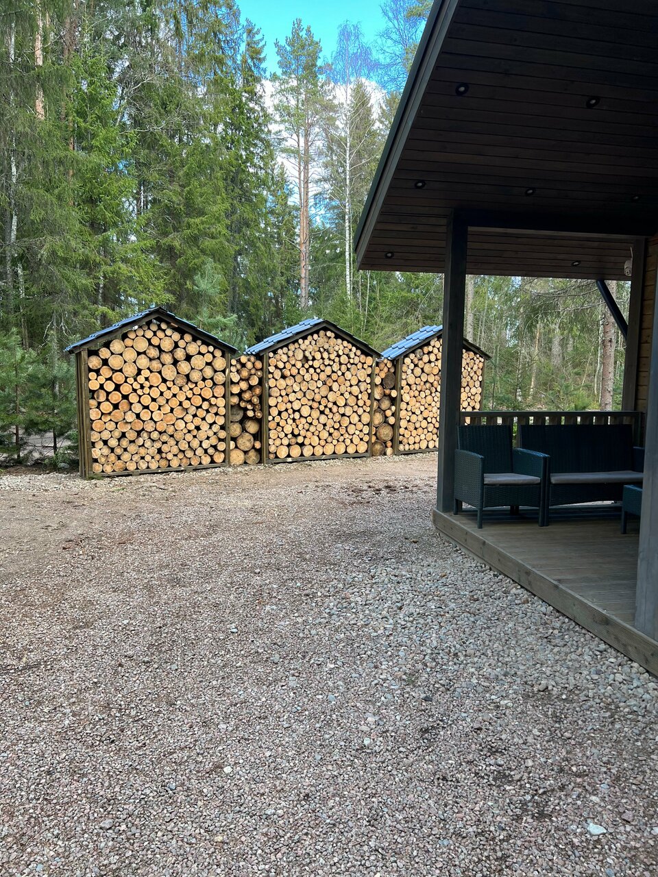 Фото Smell Of The Forest