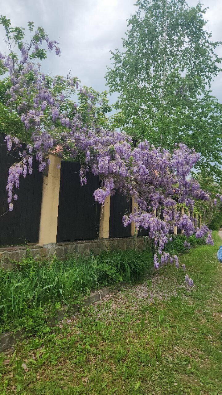 Фото Тихое место