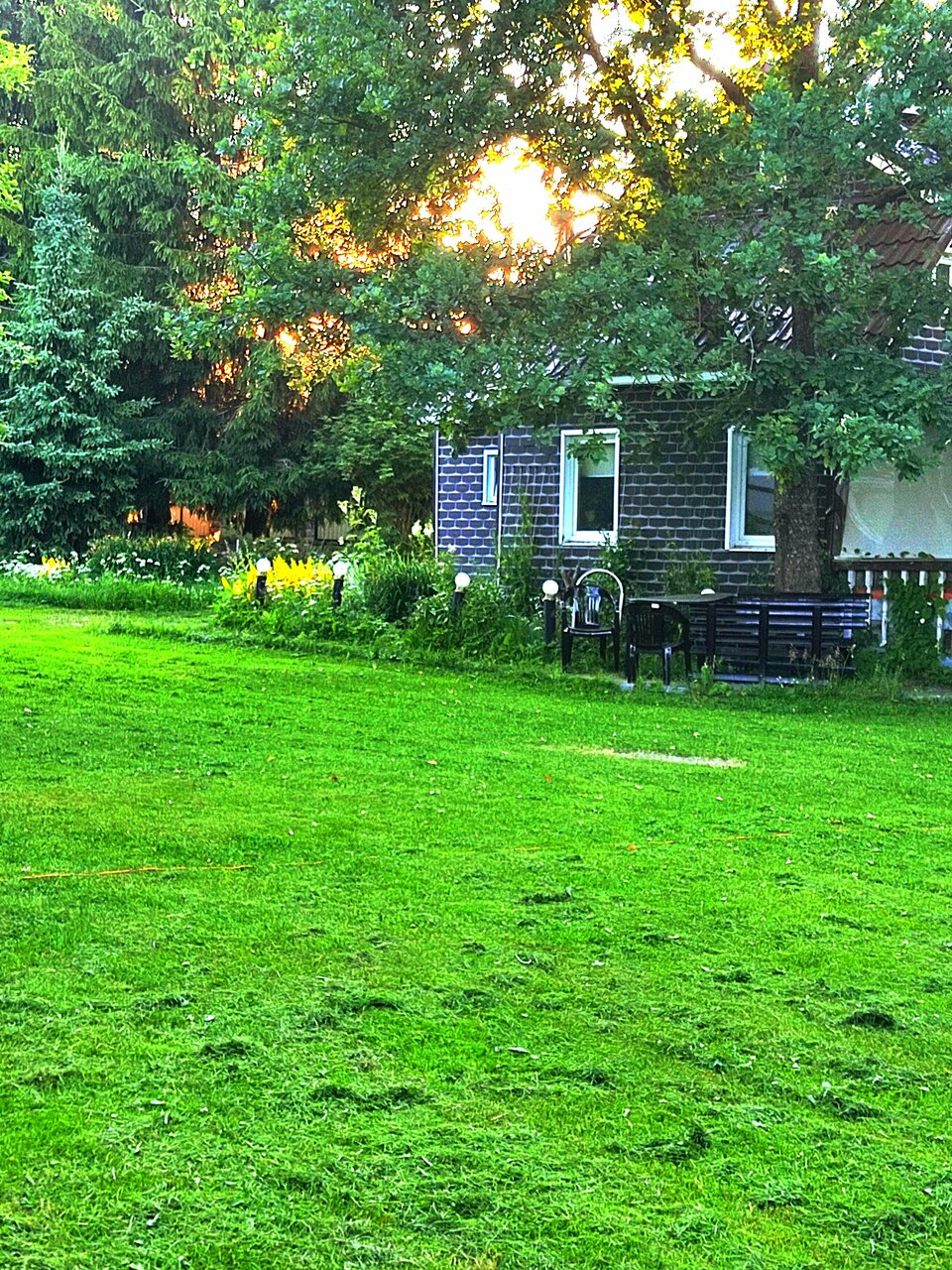 Фото Dom V Kavgolovo Lyubov i golubi