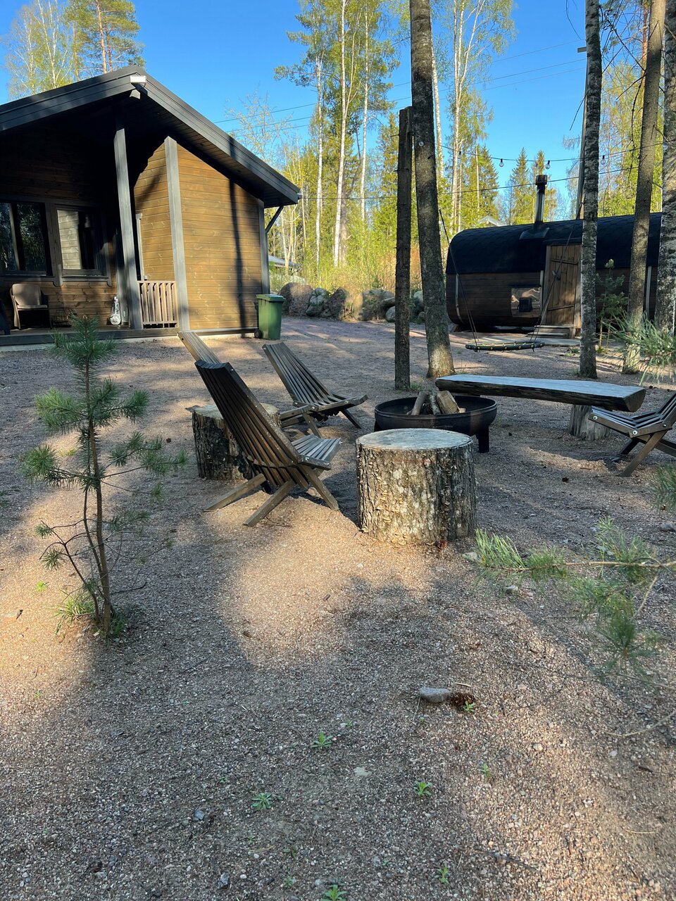 Фото Smell Of The Forest