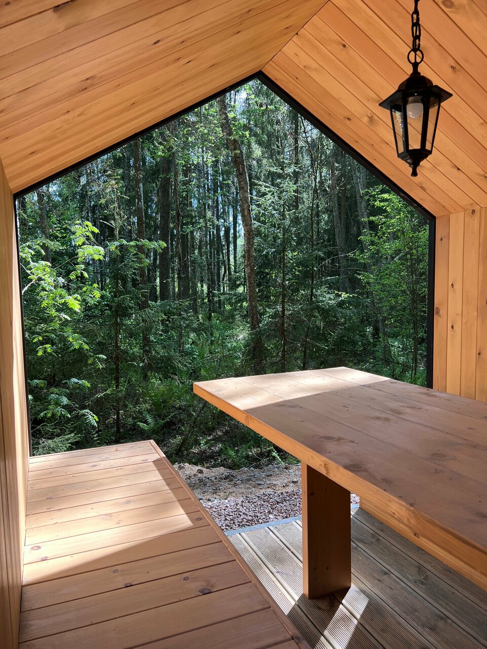 Фото Smell Of The Forest