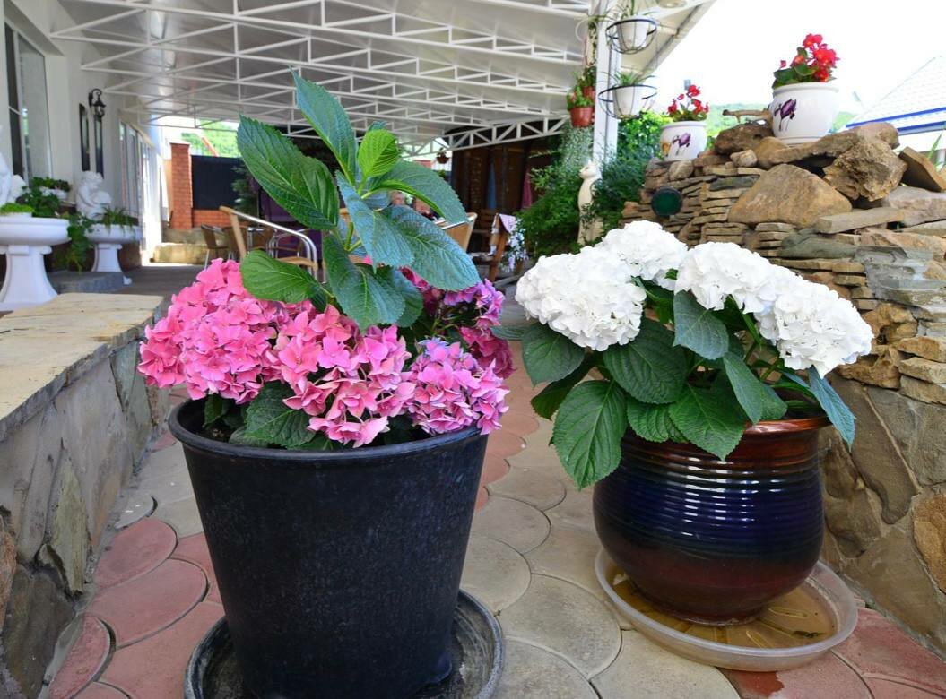 Фото Центр Семейного Отдыха Горная Долина