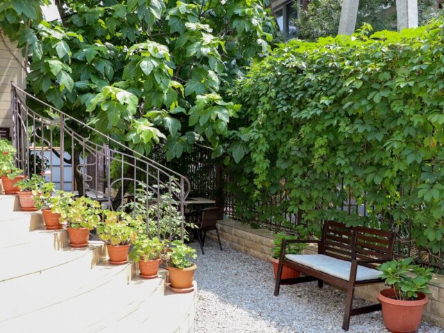 Комильфо фото 3