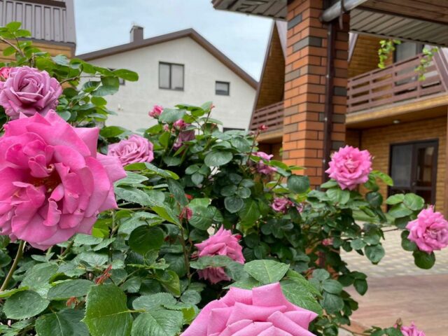 Семейное благо фото 1