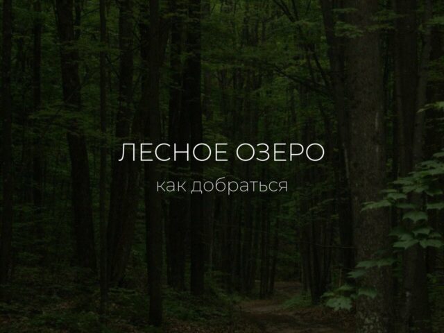 Лесное Озеро фото 2
